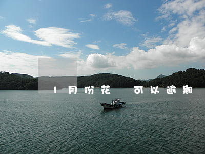 1月份花唄可以逾期嗎(1月份花唄可以逾期嗎)