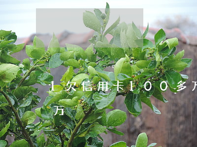 1欠信用卡100多万（1欠信用卡100多万）