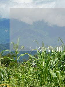 1欠信用卡100多萬(wàn)（1欠信用卡100多萬(wàn)）