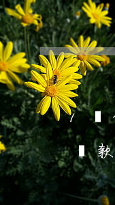 1筆信用卡逾期影響按揭(一年前信用卡逾期貸款影響)