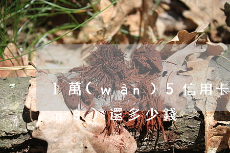 1萬(wàn)5信用卡逾期5年應(yīng)還多少錢