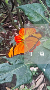 1萬(wàn)塊3分利息怎么算(1萬(wàn)元3分的利息怎么算)