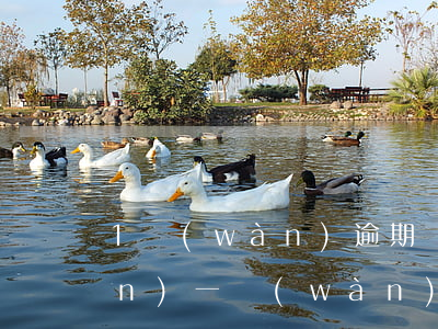 1萬(wàn)逾期滯納金多少錢(qián)(一萬(wàn)滯納金怎么算)