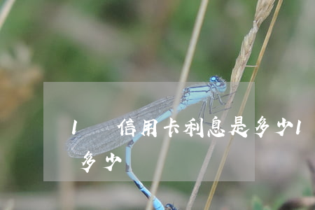 1萬信用卡利息是多少 1萬信用卡利息一年多少錢