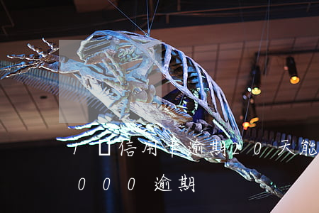 1萬信用卡逾期20天能貸款嗎(信用卡10000逾期)