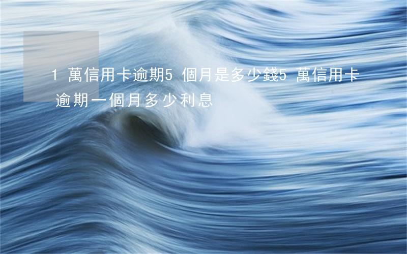 1萬信用卡逾期5個月是多少錢(5萬信用卡逾期一個月多少利息)