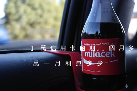 1萬信用卡逾期一個月多少錢（信用卡逾期一萬一月利息多少）
