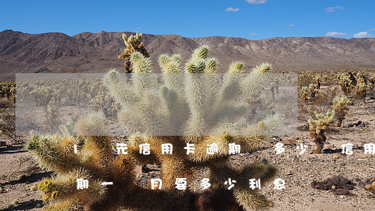 1萬元信用卡逾期還多少錢(信用卡1萬元逾期一個月要多少利息)