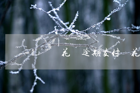1萬塊花唄逾期(支付寶花唄逾期1萬)