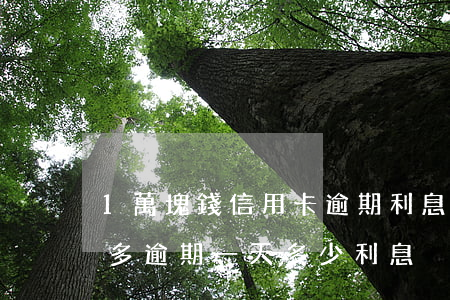 1萬塊錢信用卡逾期利息怎么算（信用卡1萬多逾期一天多少利息）