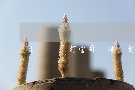 1萬塊錢打官司請律師要多少