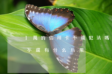1萬的信用卡不還犯法嗎(信用卡欠不到一萬不還有什么后果)