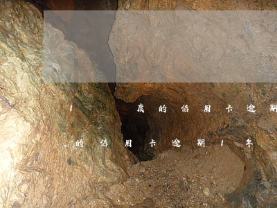 1萬額度的信用卡逾期1年沒還-1萬額度的信用卡逾期1年沒還會(huì)怎樣