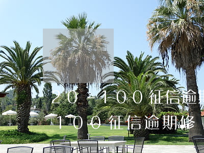 20-100征信逾期修復(fù)(20-100征信逾期修復(fù))