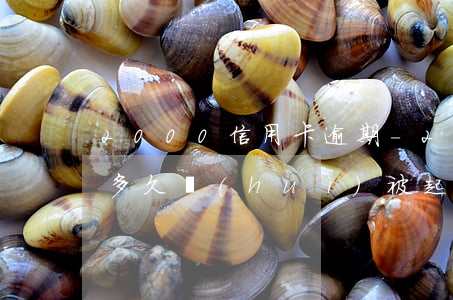 2000信用卡逾期-2000信用卡逾期多久會(huì)被起訴