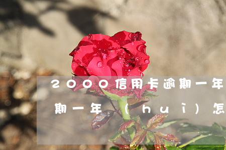 2000信用卡逾期一年(2000信用卡逾期一年會(huì)怎樣)