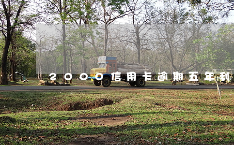 2000信用卡逾期五年利息