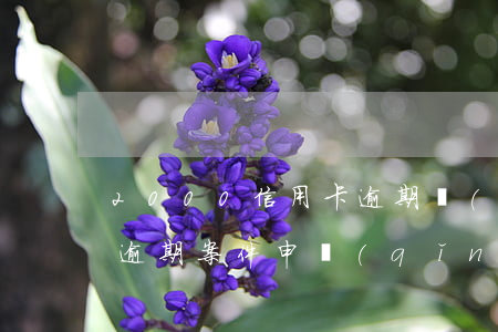 2000信用卡逾期開(kāi)庭(信用卡逾期案件申請(qǐng)排期開(kāi)庭)