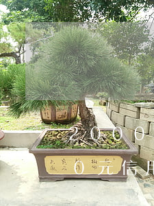 2000元信用卡逾期幾年怎么辦-2000元信用卡逾期幾年怎么辦理