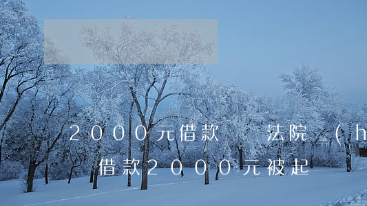 2000元借款糾紛法院會(huì)立案嗎(借款2000元被起訴)