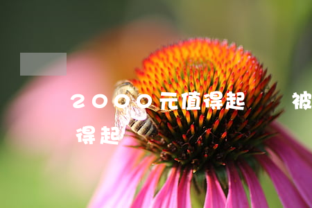 2000元值得起訴嗎被騙(2000塊錢值得起訴嗎)
