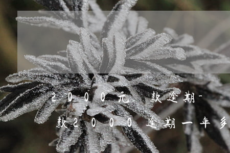 2000元貸款逾期-網(wǎng)上貸款2000逾期一年多了