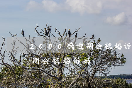2000块逾期会被起诉嘛-2000块逾期会被起诉吗