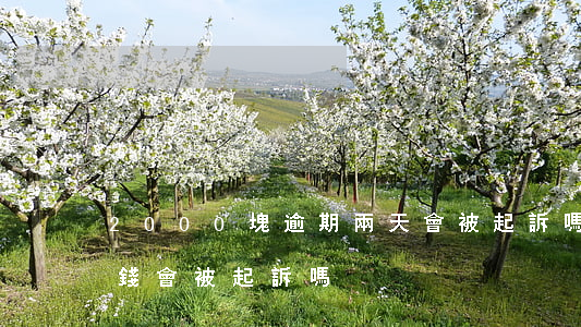 2000塊逾期兩天會被起訴嗎 逾期2千塊錢會被起訴嗎