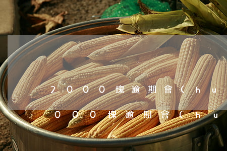 2000塊逾期會(huì)被起訴嘛-2000塊逾期會(huì)被起訴嗎