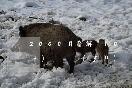 2000月薪解決10萬(wàn)負(fù)債-負(fù)債10萬(wàn)月薪3000