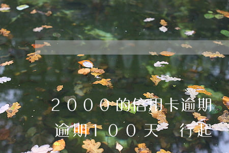 2000的信用卡逾期銀行會起訴嗎（信用卡逾期100天，銀行起訴）