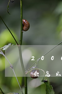 2000花呗逾期利息(花呗欠2000逾期会怎么样)