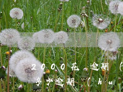 2000花唄逾期會(huì)起訴嗎(花唄多少逾期會(huì)被起訴?花唄逾期被起訴怎么辦)