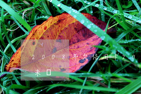 2008年欠信用卡(2007年信用卡逾期未還)