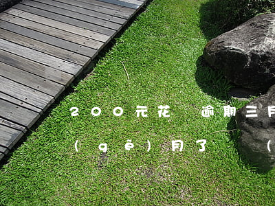 200元花唄逾期三月(花唄700逾期三個(gè)月了還沒(méi)還會(huì)有什么后果)
