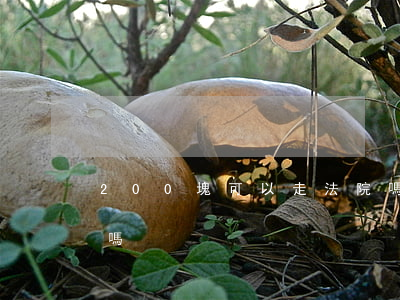 200塊可以走法院嗎(200塊可以走法院嗎)