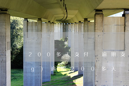 200多天支付寶逾期(支付寶已經(jīng)逾期200多天)