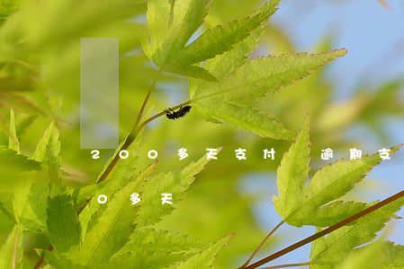 200多天支付寶逾期(支付寶已經逾期200多天)