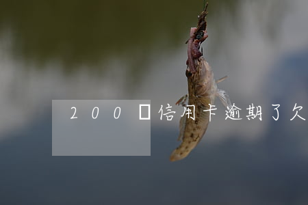 200萬信用卡逾期了(欠信用卡200萬)