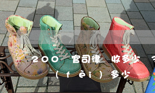 200萬官司律師收多少錢(300萬官司律師費(fèi)多少)