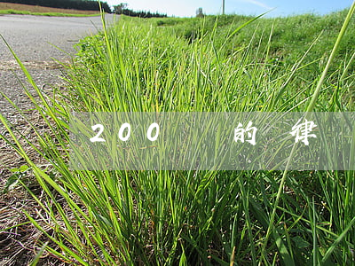 200萬標的額律師費