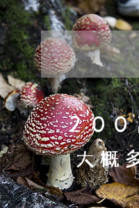 200萬的律師費要多少錢(800萬律師費大概多少)