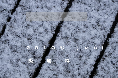 2010公務(wù)員調(diào)劑原則和條件