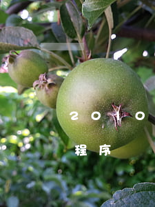 2010公務(wù)員調(diào)劑程序