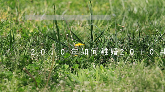 2010年如何離婚(2010新婚姻法離婚)