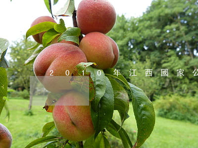 2010年江西國家公務員調劑職位表