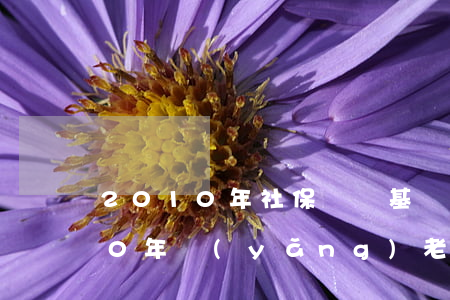 2010年社保繳費基數(shù)(2010年養(yǎng)老保險繳費基數(shù))