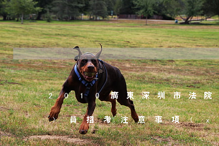 2010廣東深圳市法院檢察院公務(wù)員招考注意事項(xiàng)