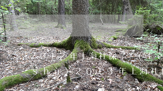 2012年上海社保繳費(fèi)基數(shù)(2013年上海社保繳費(fèi)基數(shù))