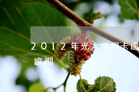 2012年光大信用卡逾期(光大信用卡7萬逾期)